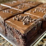 ['Side view of a moist Chocolate Espresso Sheet Cake with a glossy chocolate frosting.', 'Close-up image showing a rich Chocolate Espresso Sheet Cake topped with chocolate ganache.', 'Slice of Chocolate Espresso Sheet Cake with a velvety chocolate layer and glossy finish.', 'Detailed view of a Chocolate Espresso Sheet Cake highlighting its luscious texture and chocolate decor.']
